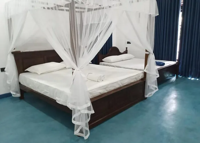Nova Guest